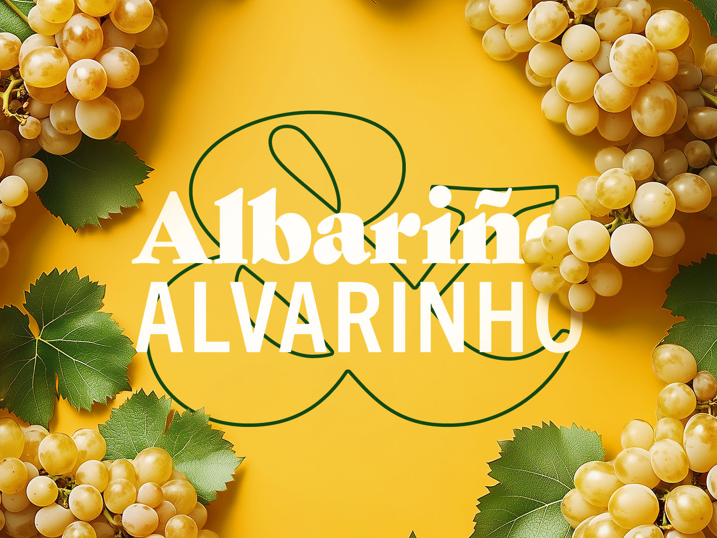 Atlantik trifft Aromatik: Albariño & Alvarinho im Weinladen Schmidt