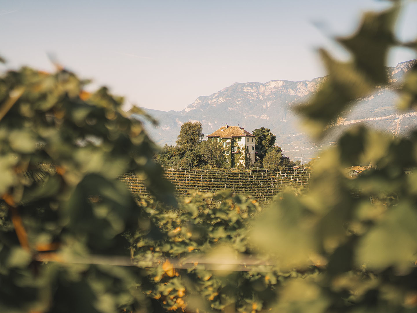 Beitragsbild von “Südtirol – zwischen Alpen und Mittelmeer”