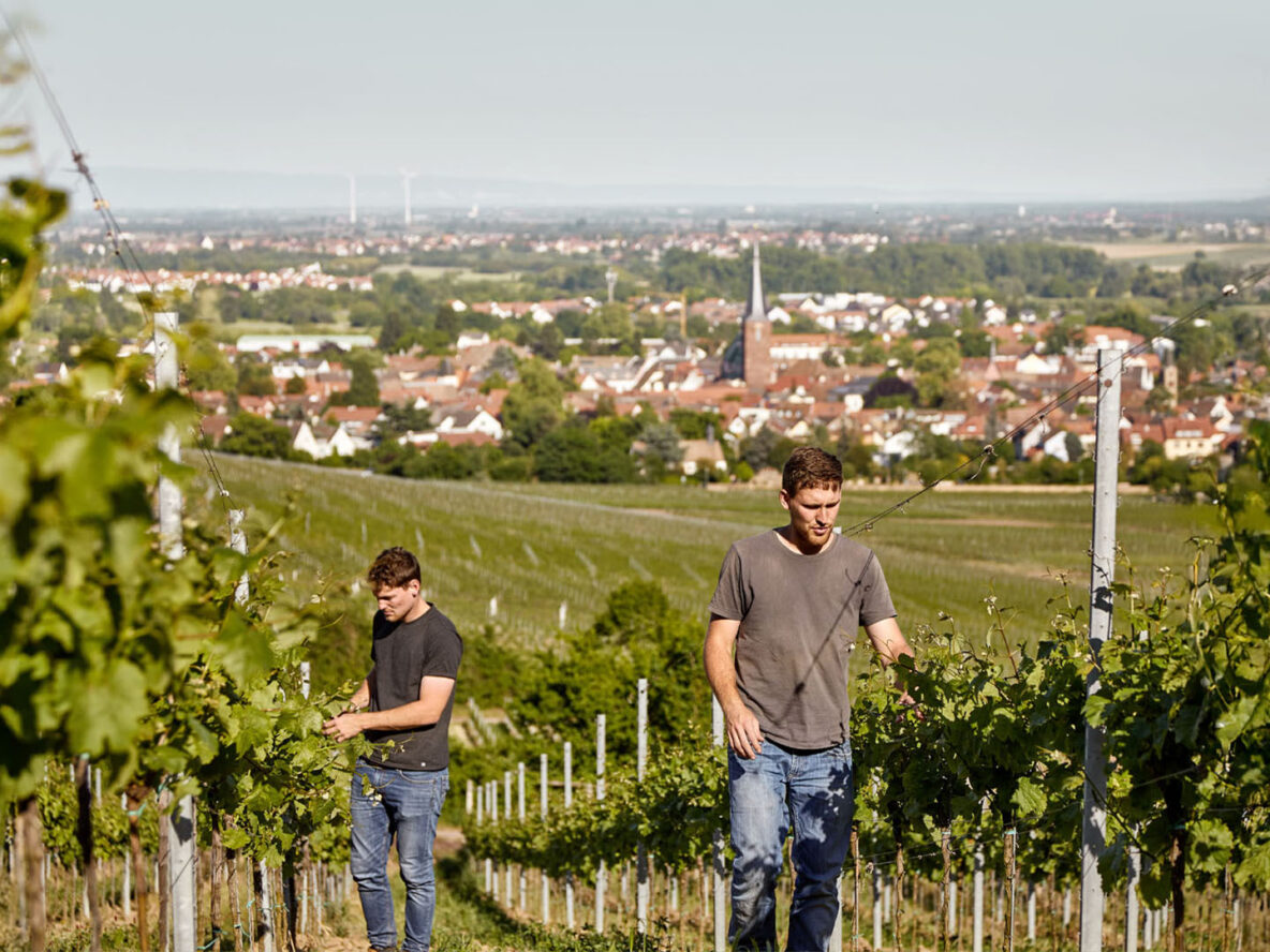 Winzerdinner im Schmidt Z&KO mit Weingut Andres