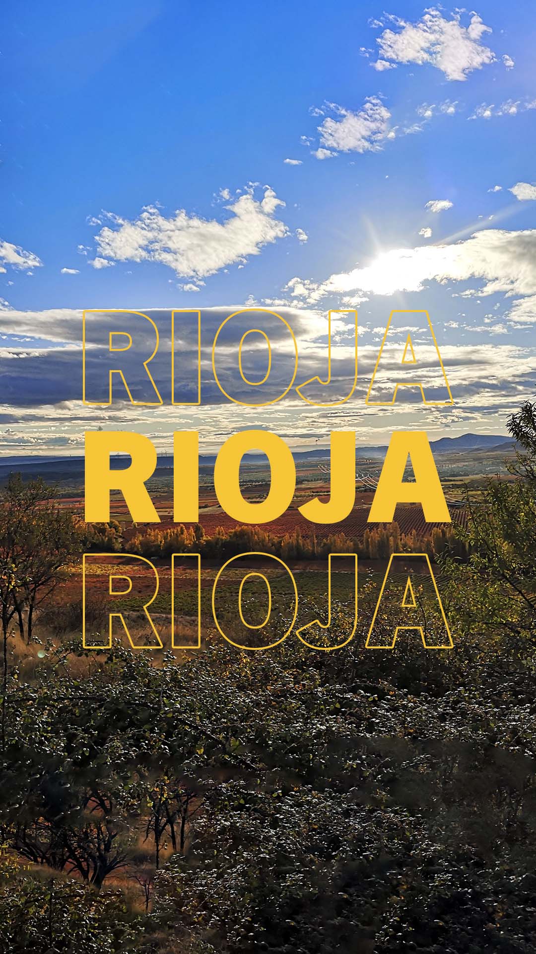 Diesen Monat im Fokus: das Weinbaugebiet Rioja