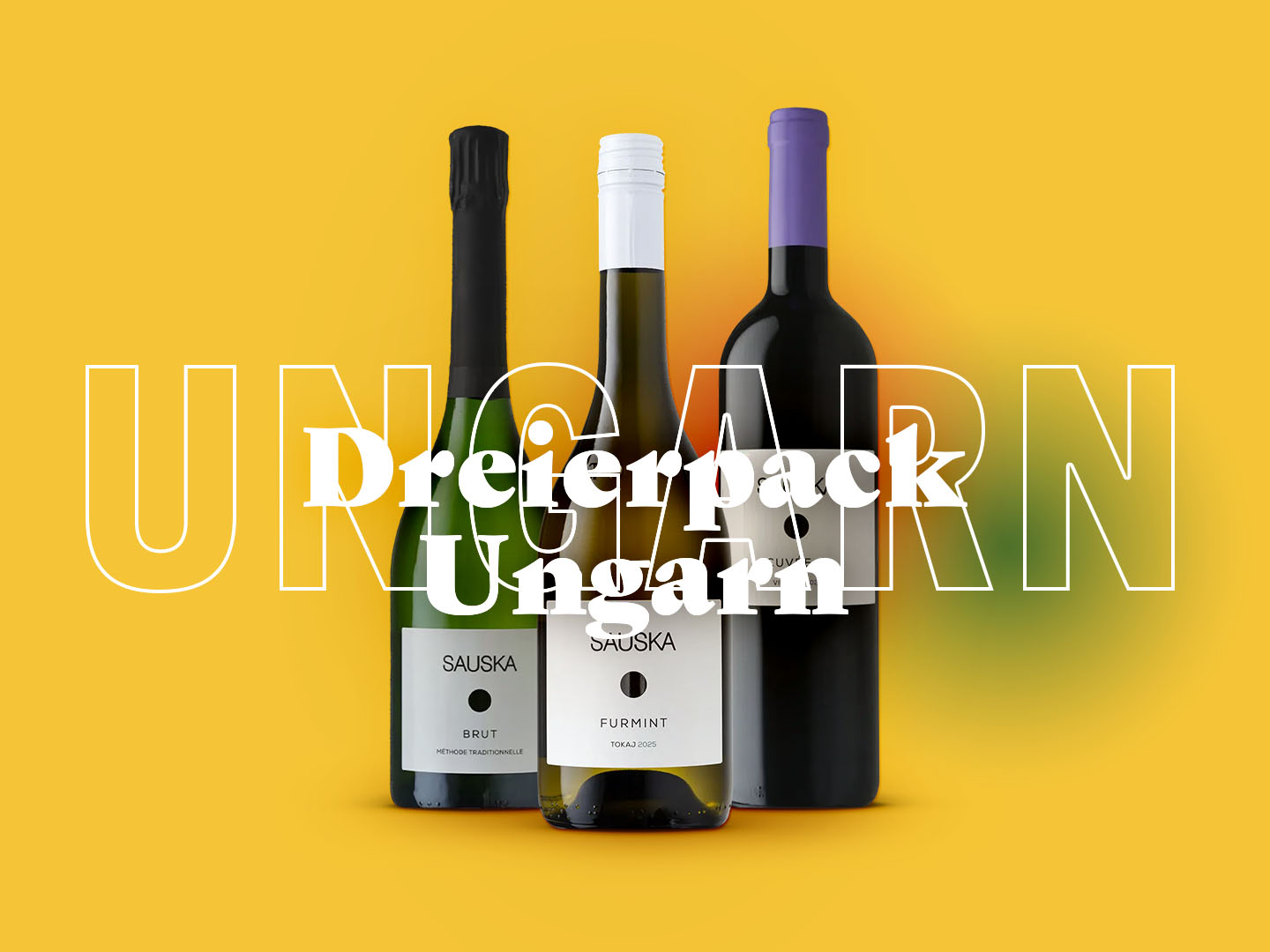 Drei Sauska-Weine – Brut, Furmint und Rotwein – vor gelbem Hintergrund mit dem Schriftzug »Dreierpack Ungarn«.