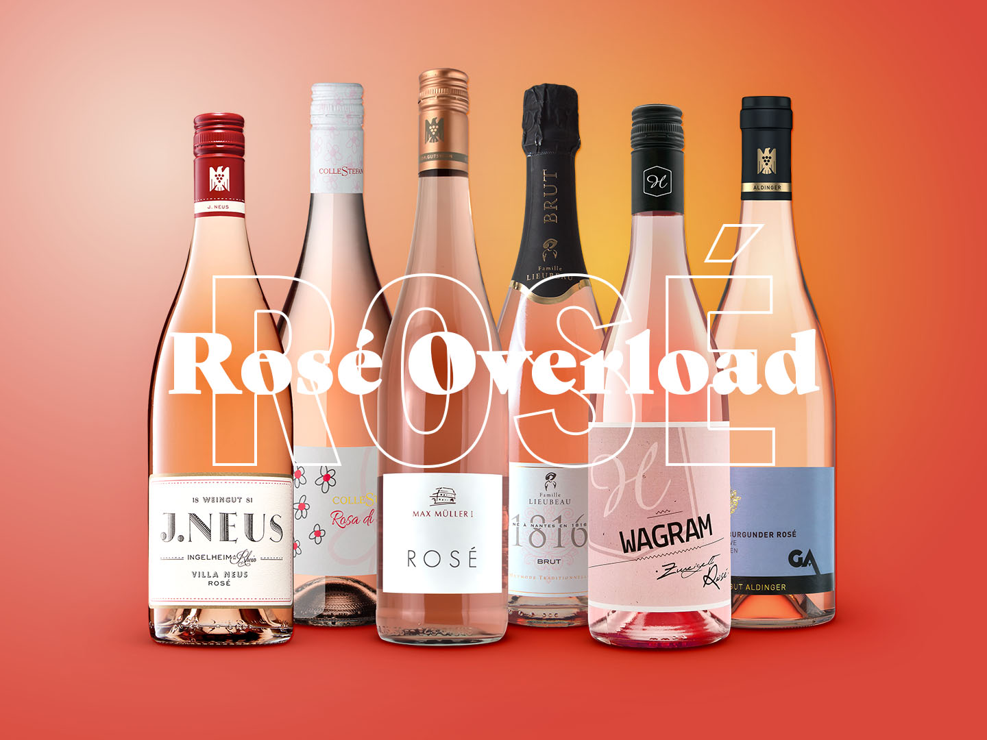 Rosé Overload – einmal quer durch den Sommer