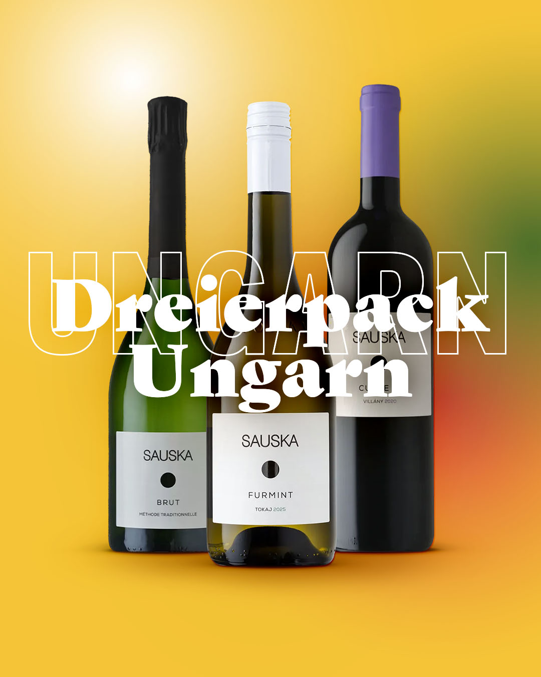 Drei Sauska-Weine – Brut, Furmint und Rotwein – vor gelbem Hintergrund mit dem Schriftzug »Dreierpack Ungarn«.