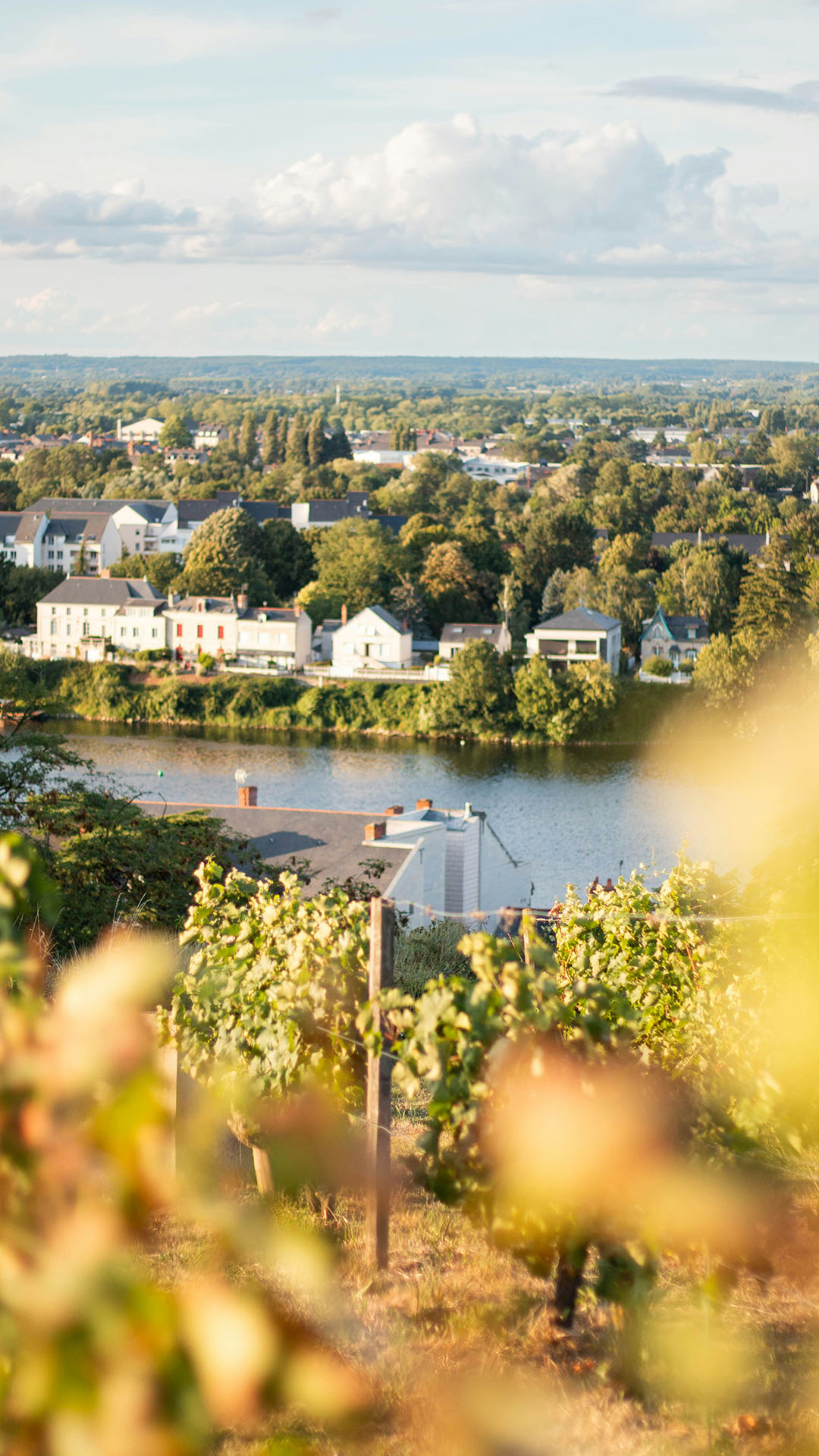 Beitragsbild von “Loire – Frankreichs vielseitiger Strom des Weins”