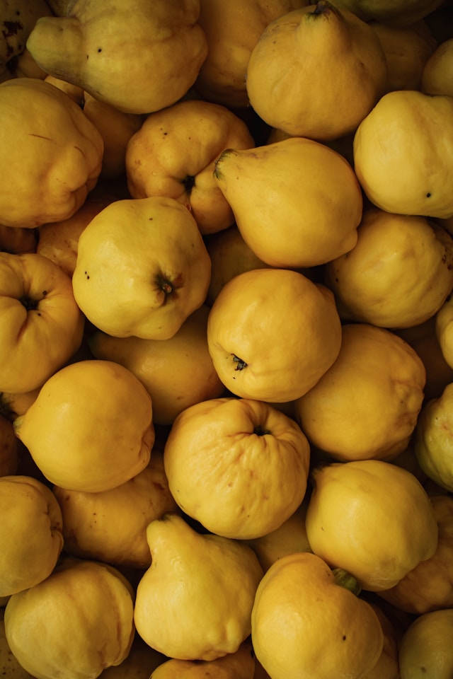 Mal keine Trauben: Stefan Vetter produziert auch Obstschaumwein z. B. aus Quitten