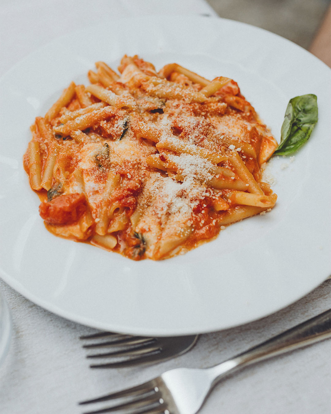 Penne mit cremiger Tomatensauce, geriebenem Parmesan und frischem Basilikum auf einem weißen Teller.