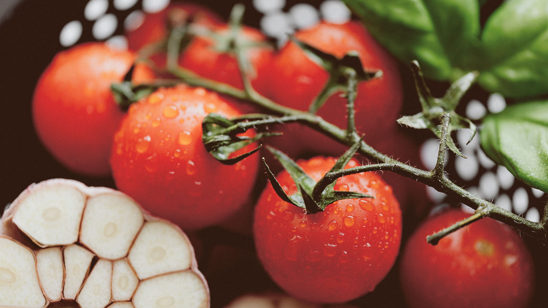 Beitragsbild von “Von Caprese bis Pasta – Tomaten&shy;gerichte und ihre Weinbegleiter”