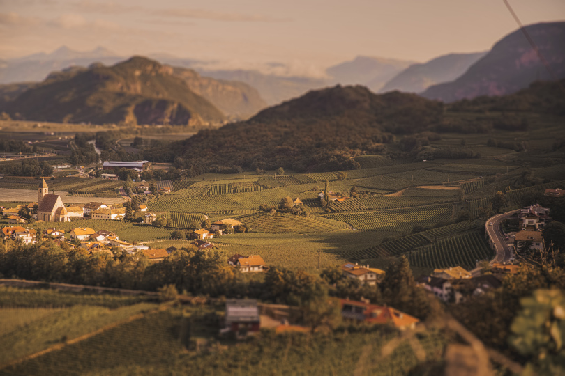 Blick auf die Weinlagen des Südtiroler Weinguts Baron Longo © Baron Longo