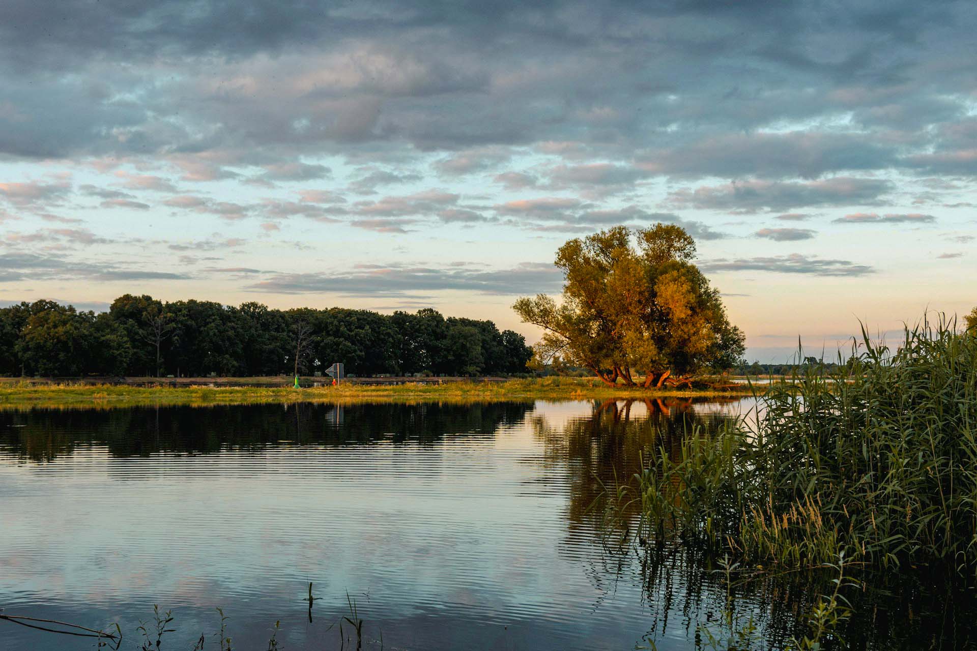 Beitragsbild von “Brandenburg – kleines Weinland mit großer Geschichte und neuem Pioniergeist”