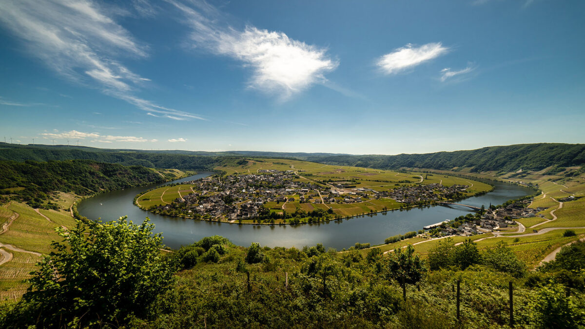 Wein von der Mosel