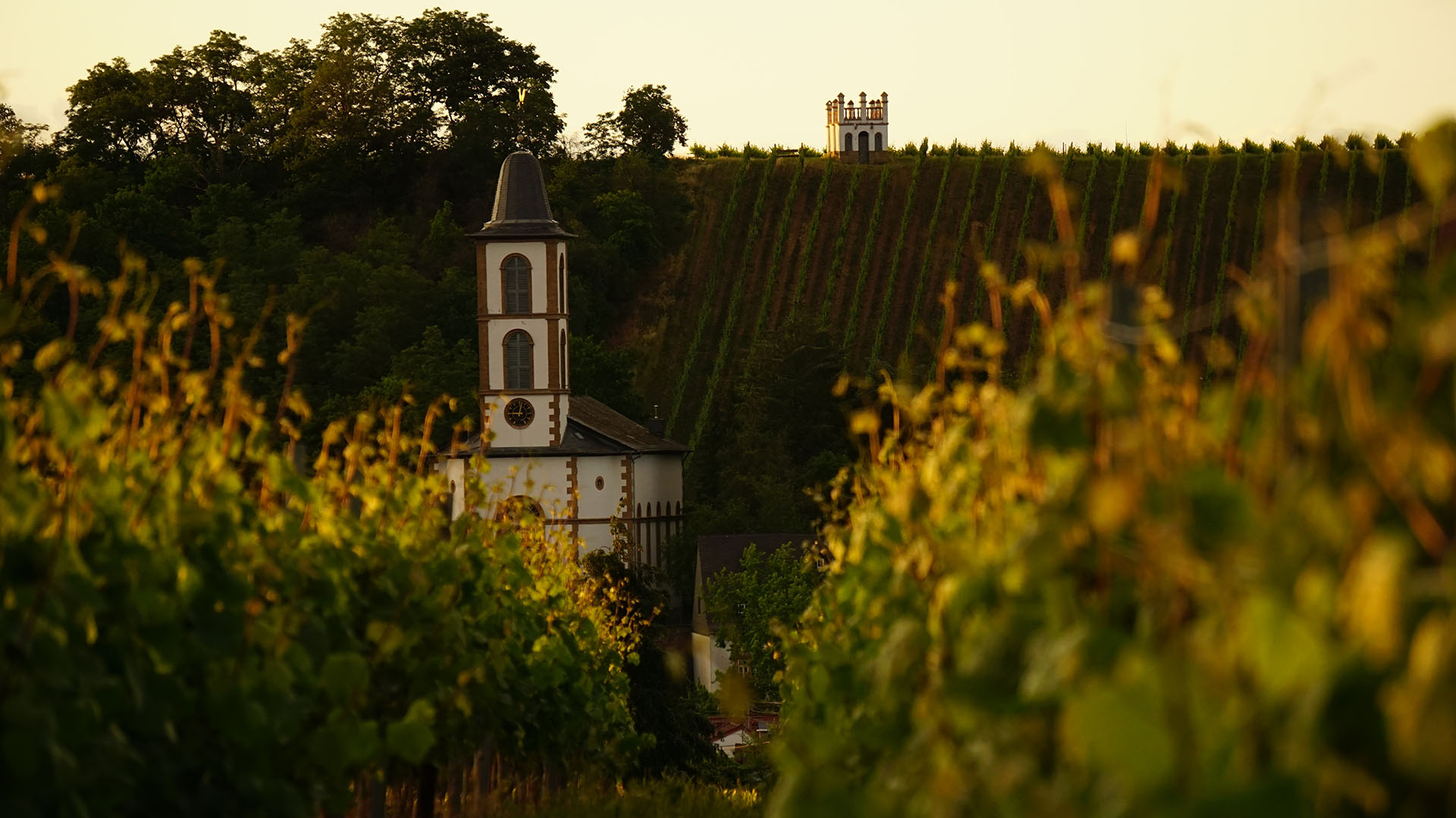 Wein von der Nahe